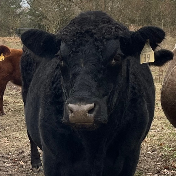 Be nice - Picture 6 of 12